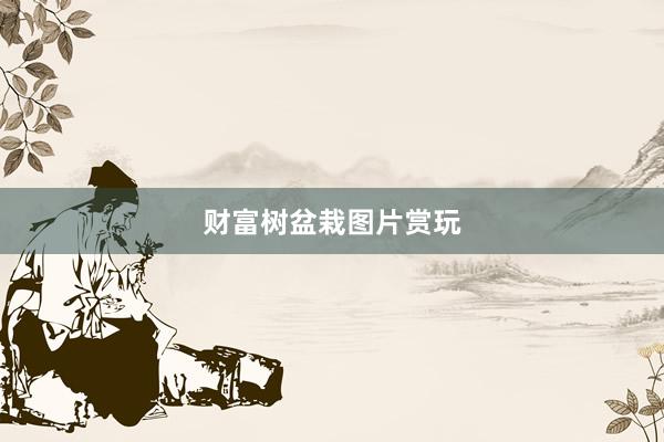 财富树盆栽图片赏玩