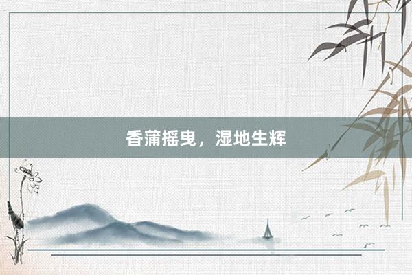 香蒲摇曳，湿地生辉