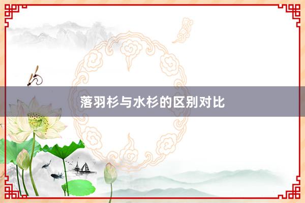 落羽杉与水杉的区别对比