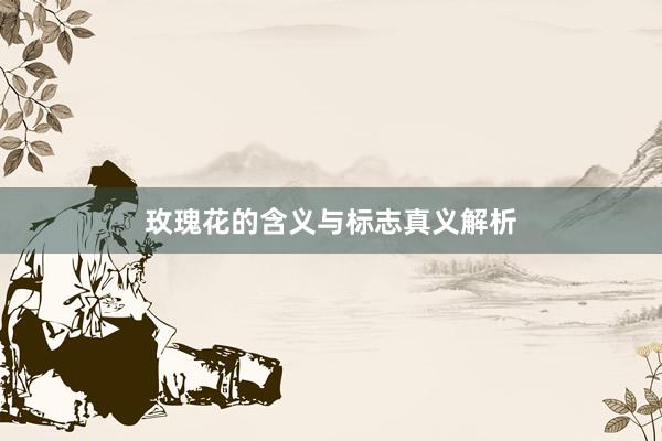 玫瑰花的含义与标志真义解析