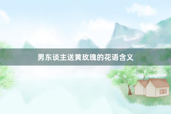 男东谈主送黄玫瑰的花语含义