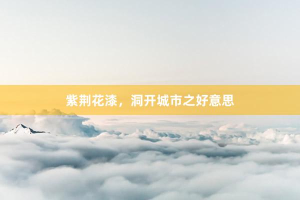 紫荆花漆，洞开城市之好意思