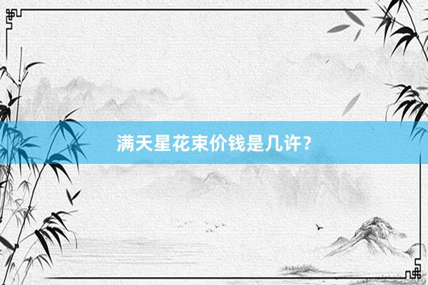 满天星花束价钱是几许？