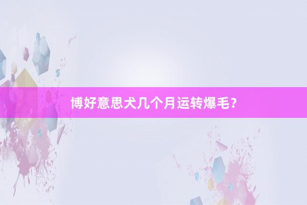 博好意思犬几个月运转爆毛？